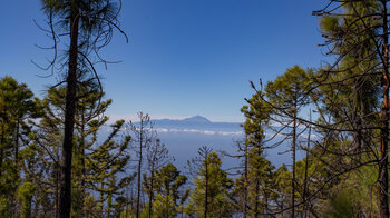 Blick auf die Nachbarinsel Teneriffa vom Naturpark Tamadaba