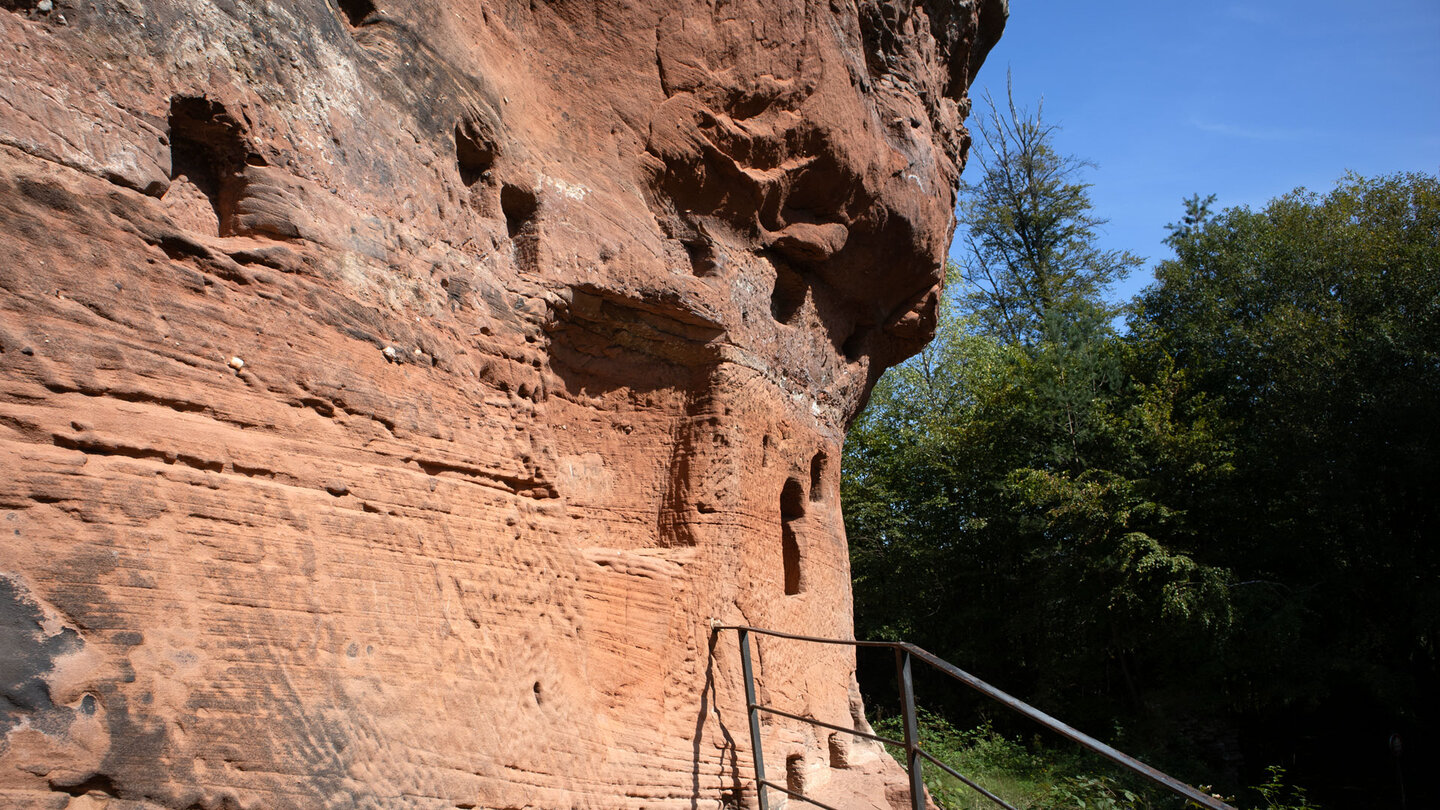 der Burgfelsen der Ruine Lützelhardt dient heute vielen Vögeln als Rückzugsgebiet der Burgfelsen der Ruine Lützelhardt dient heute vielen Vögeln als Rückzugsgebiet