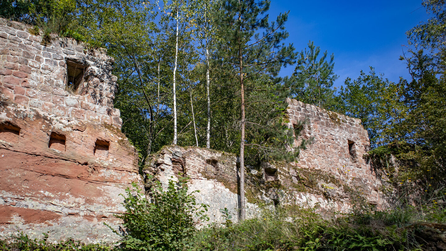 Ringmauer der Ruine der Burg Lützelhardt