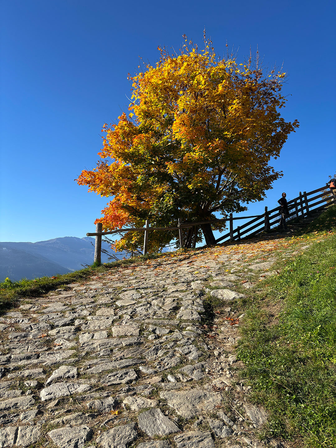 Gepflasterter Wanderweg bei Hochmuth in den Dolomiten