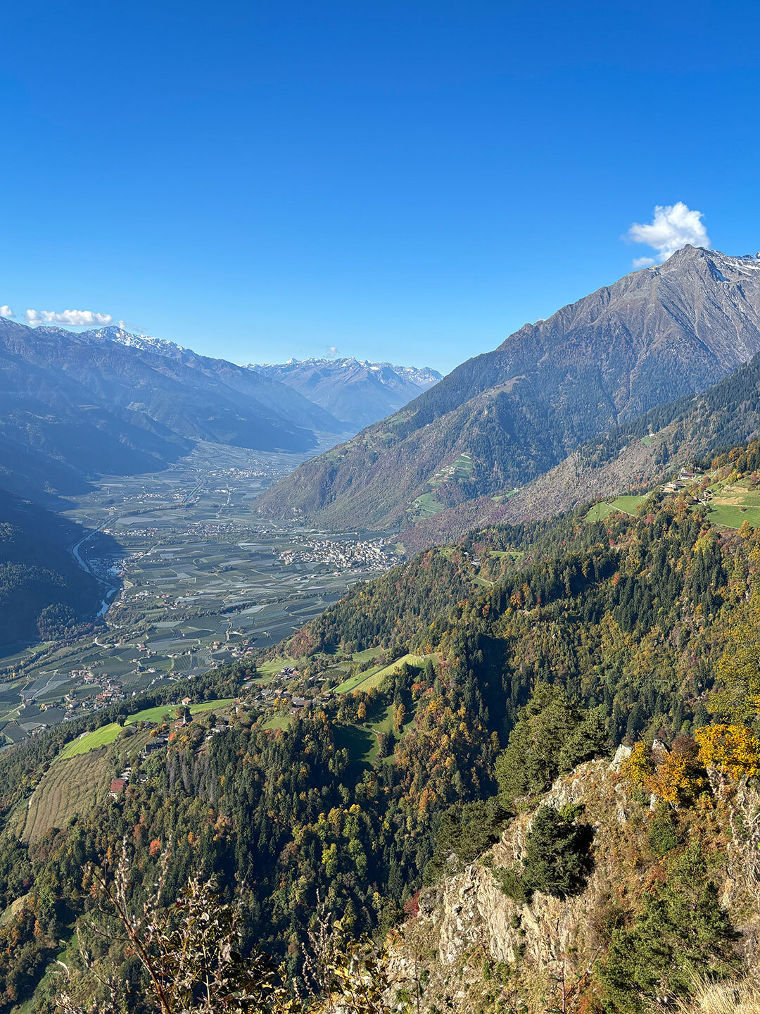 Blick in den Vinschgau