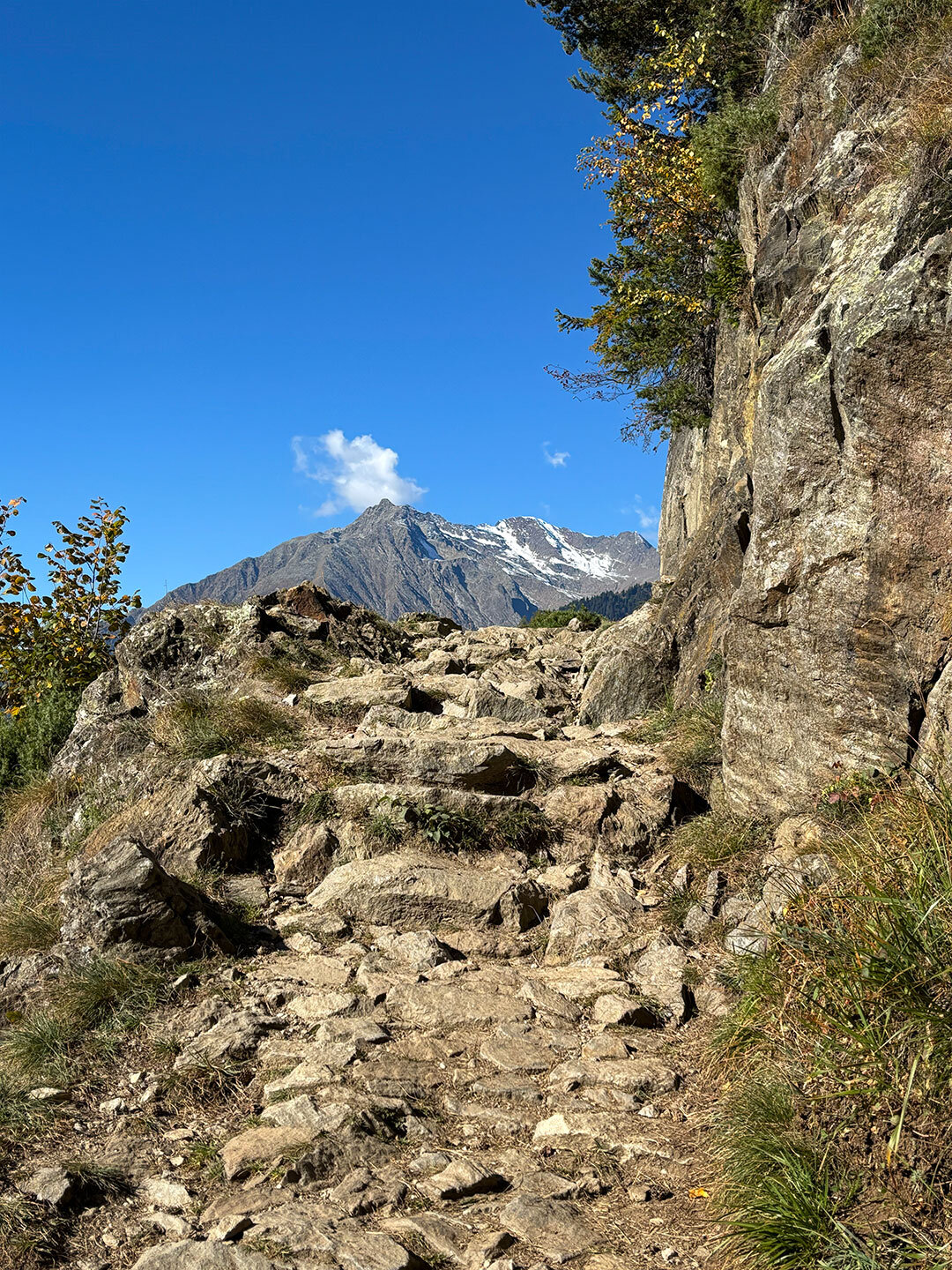 Der felsige Hans Frieden Weg ist Teil des Meraner Höhenwegs