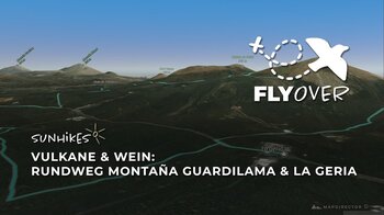 Vulkane & Wein: Montaña Guardilama und Bodega La Geria auf Lanzarote – Flyover