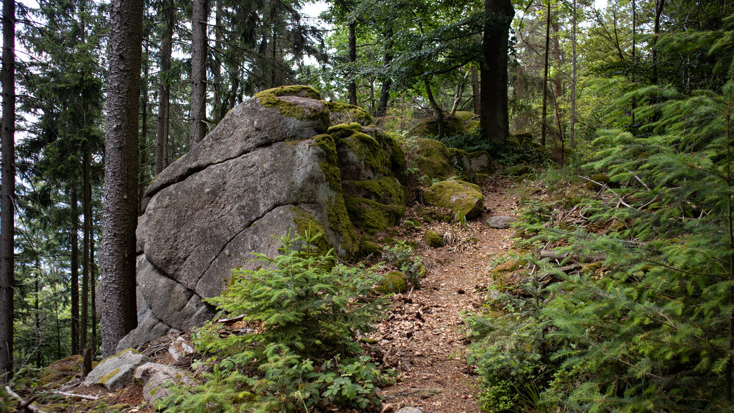 Wanderpfad zur Hohen Schaar