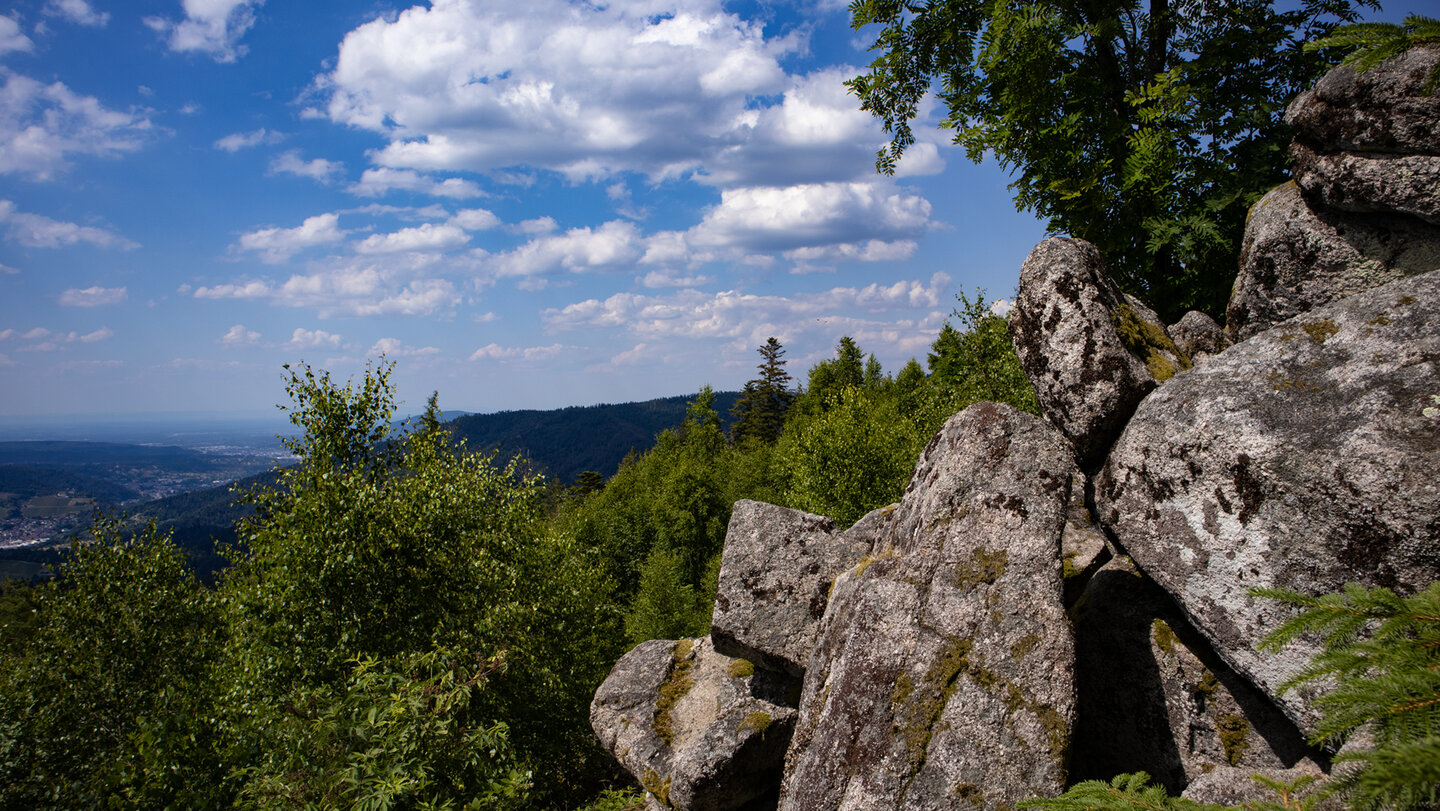Schwarzwaldpanorama von der Hohen Schaar