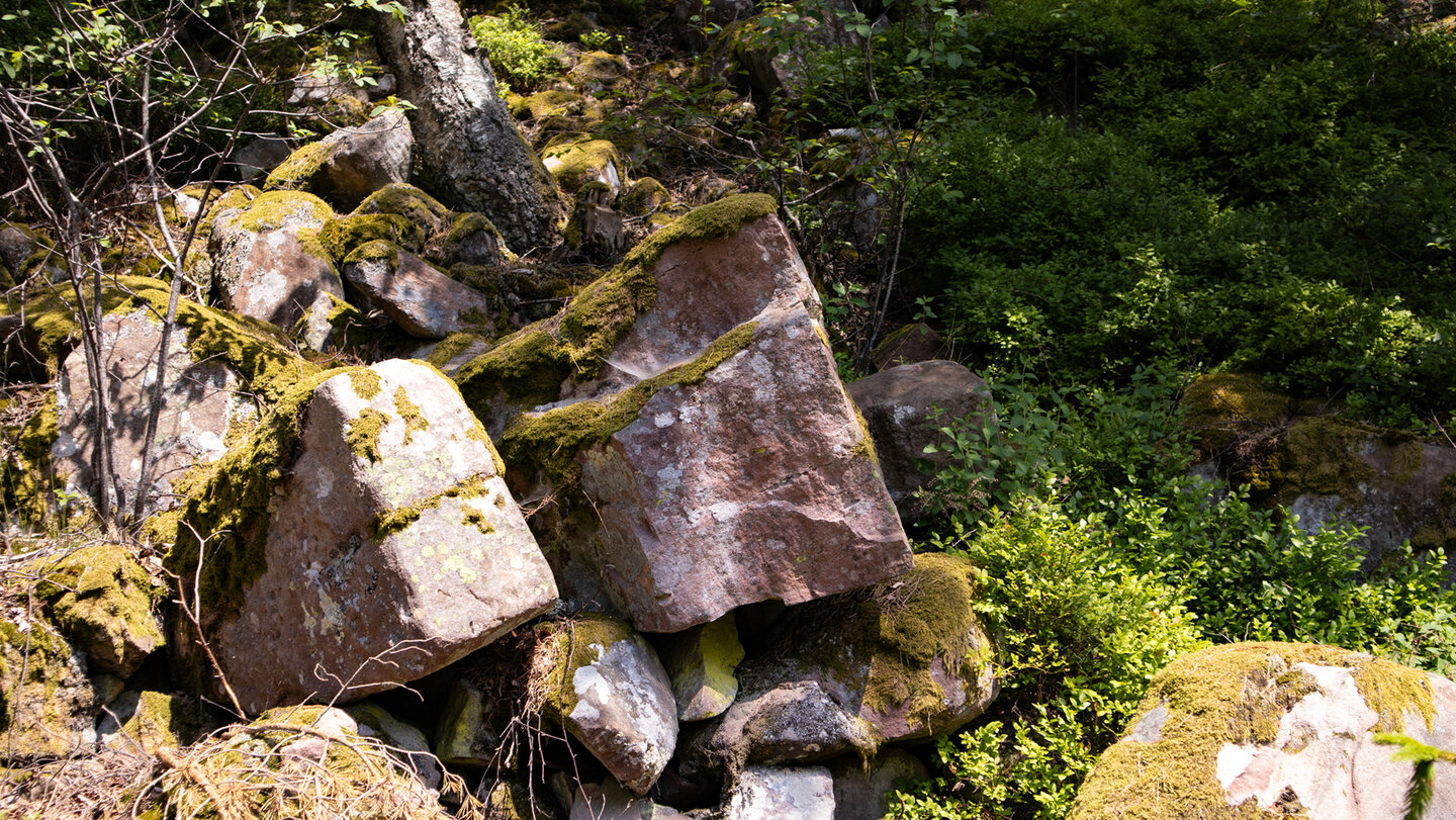 Felsformationen am Wanderweg