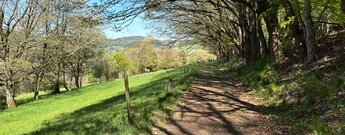 gemütliche Wanderwege in der Umgebung bei Gersfeld