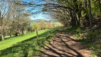 gemütliche Wanderwege in der Umgebung bei Gersfeld