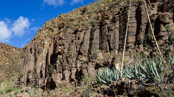 an den Steilwänden reihen sich Basaltstifte im Barranco de Tenegüime