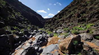 die Schlucht Barranco de Tenegüime verengt sich