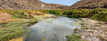 die Schlucht Barranco de los Molinos schlängelt sich zwischen Felswänden zum Ozean