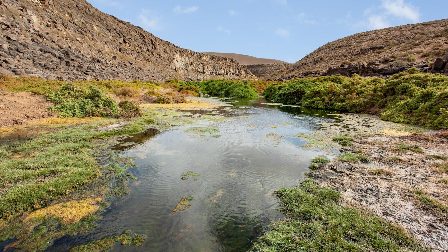 die Schlucht Barranco de los Molinos schlängelt sich zwischen Felswänden zum Ozean