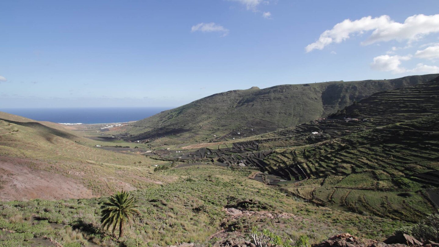 Tabayesco im Valle de Temisa auf Lanzarote Tabayesco im Valle de Temisa auf Lanzarote