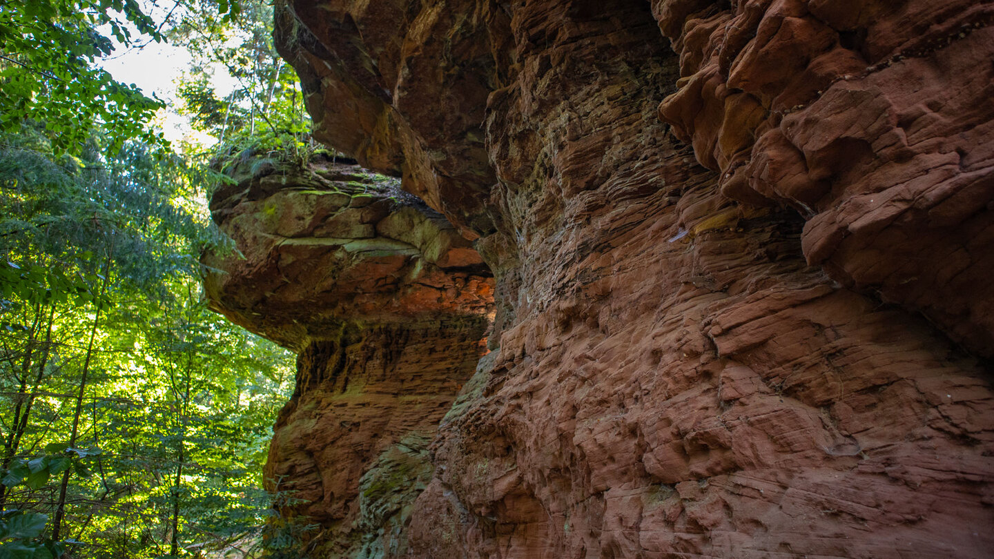 das Sandsteinriff beim Zigeunerfels