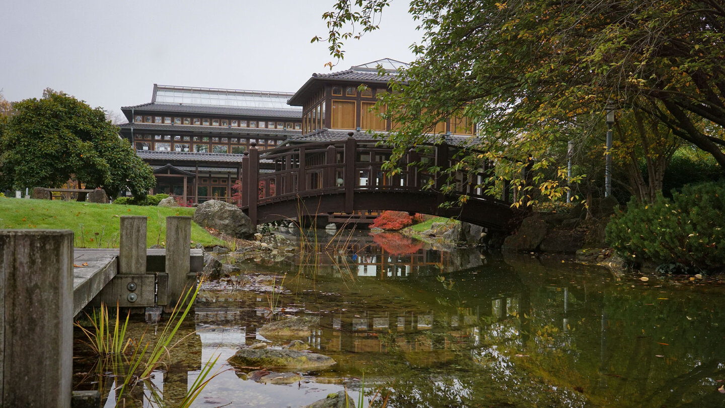 Brücke und Teehaus im Japanischen Garten Bad Langensalza