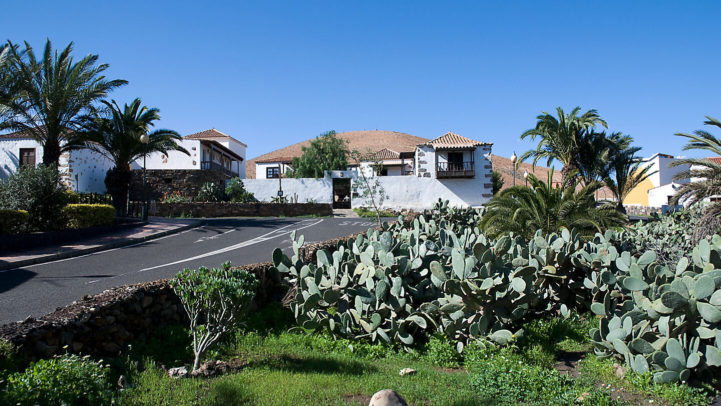 Straße mit typisch kanarischen Häusern in Pájara auf Fuerteventura