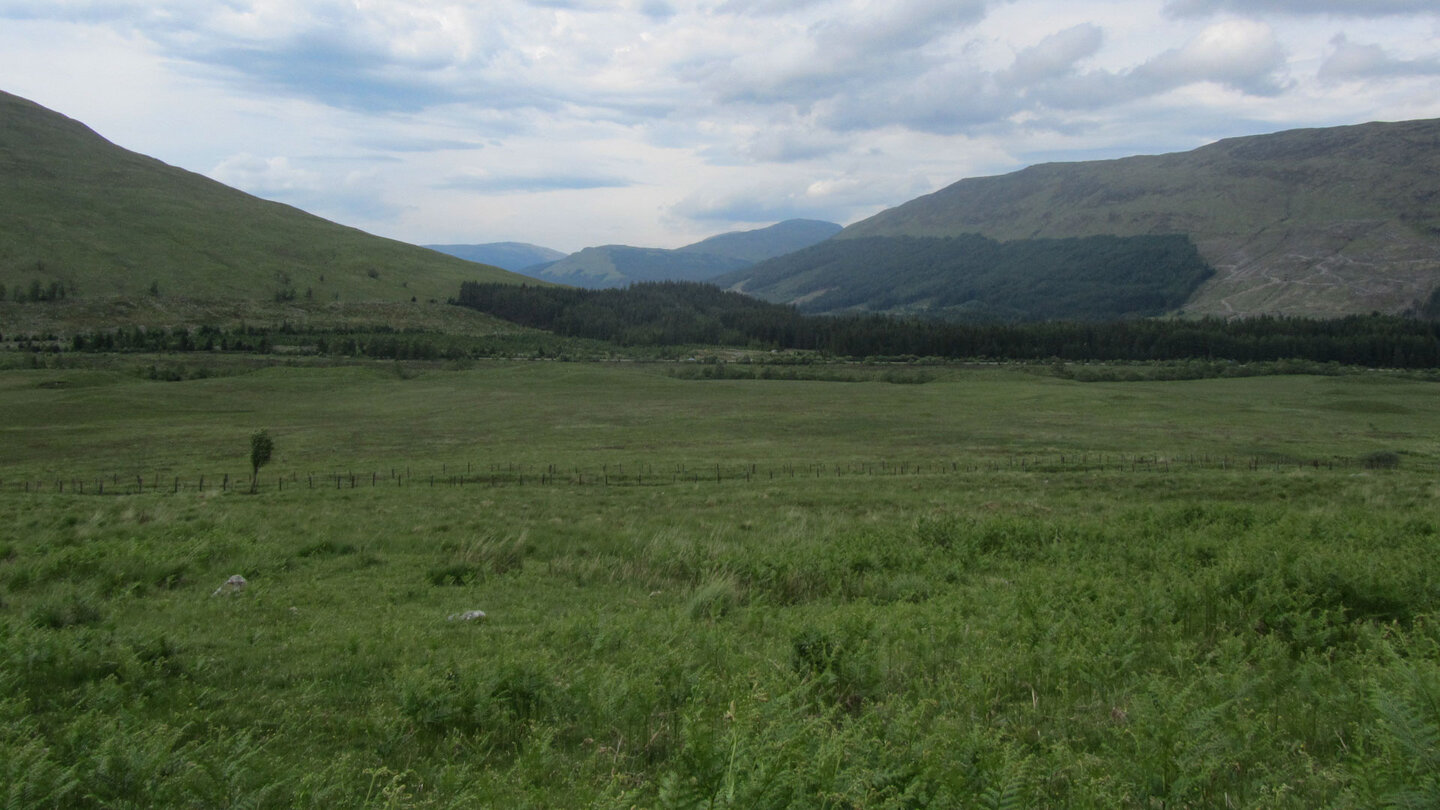 Wiesenlandschaft am West Highland Way von Tyndrum nach Bridge of Orchy Wiesenlandschaft am West Highland Way