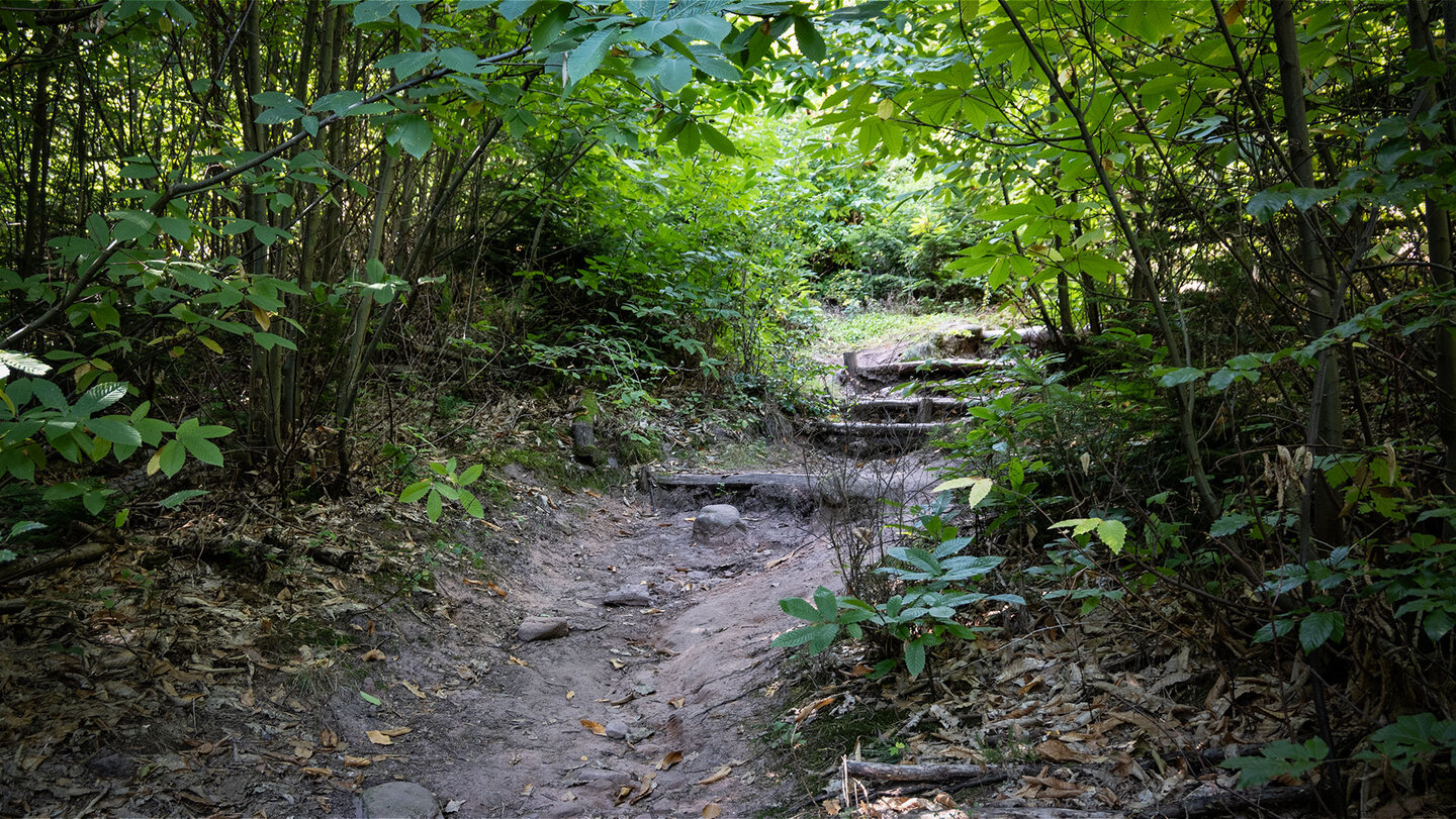 Wanderpfad beim Asselstein