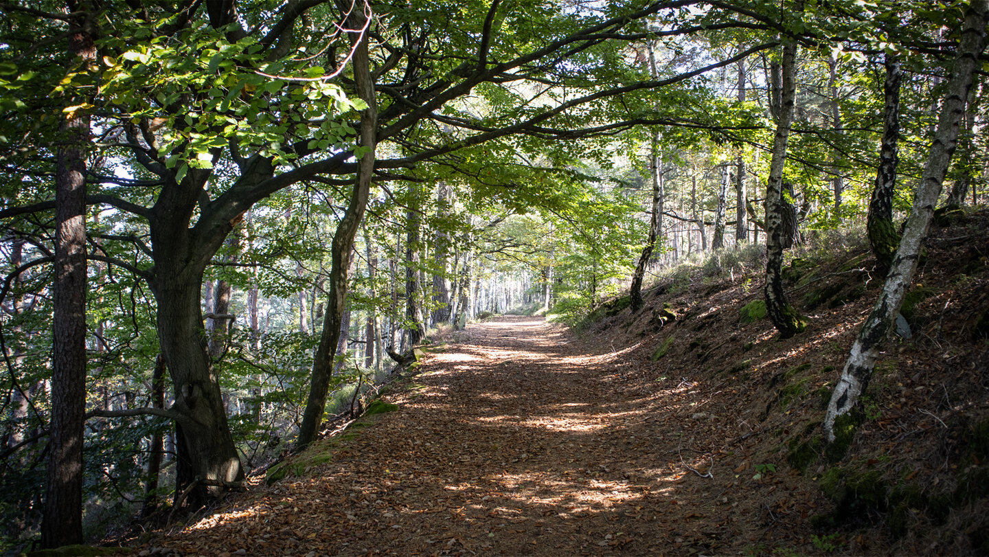 Wanderweg zum Heidenschuh