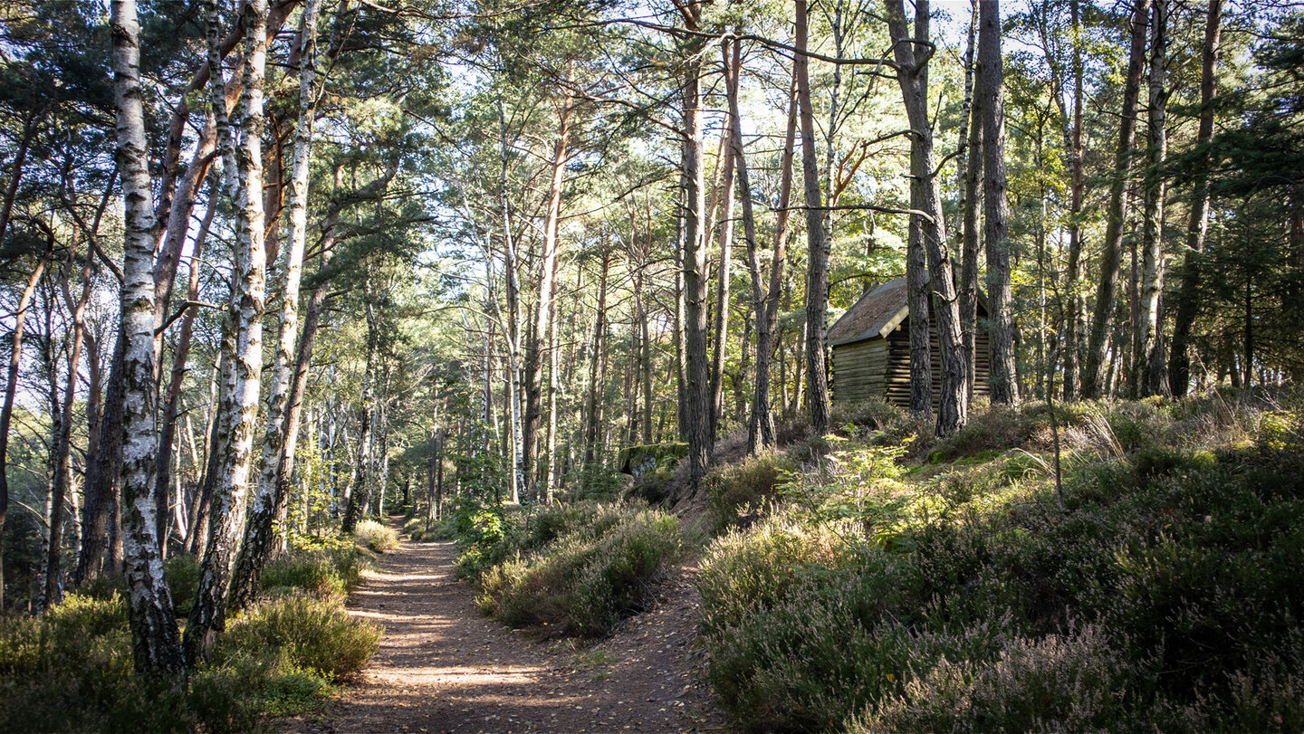 Wanderweg auf dem Treutelsberg