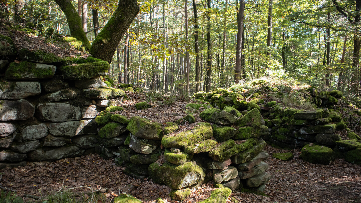 Ruine der Höhenburg Heidenschuh