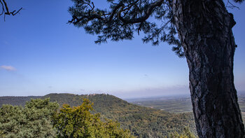 Ausblick zur Madenburg auf dem Rothenberg