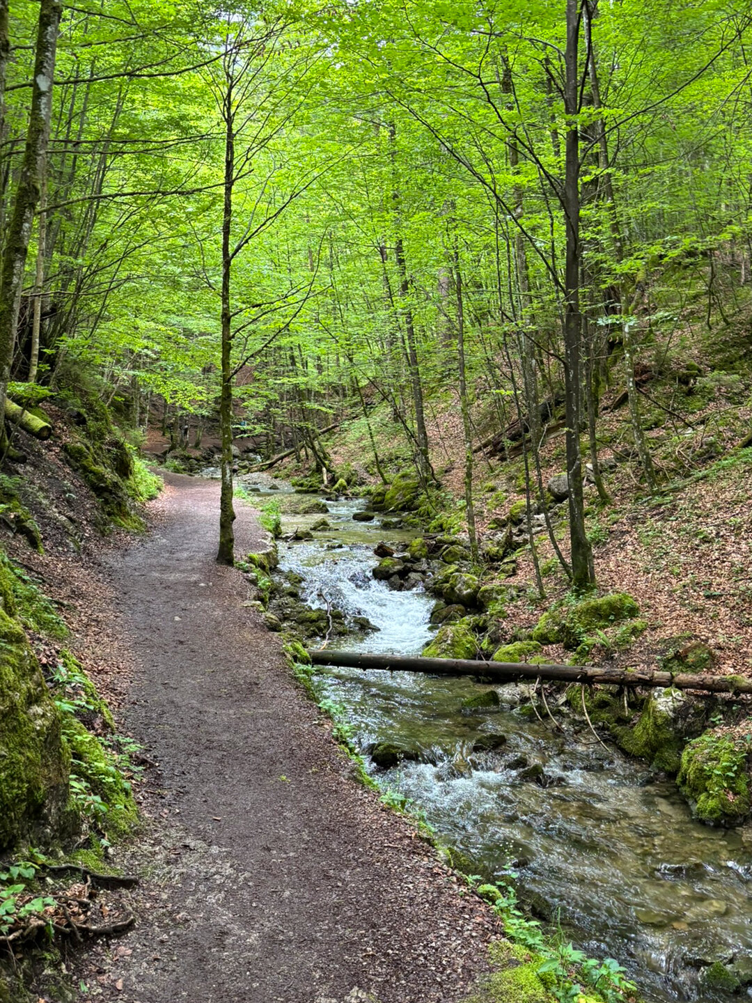 Wanderweg zu den Josefsthaler Wasserfällen