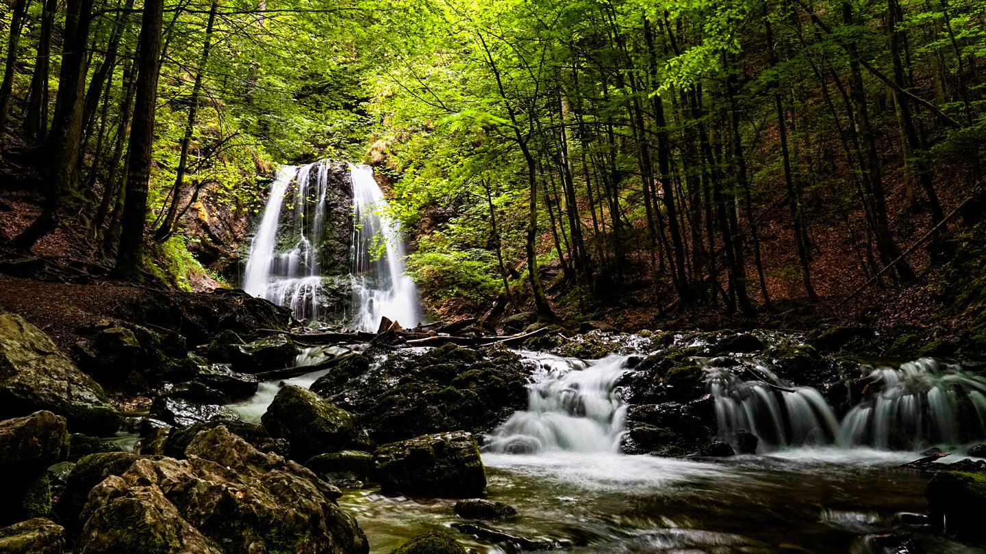 Kaskadenfall Josefsthaler Wasserfälle