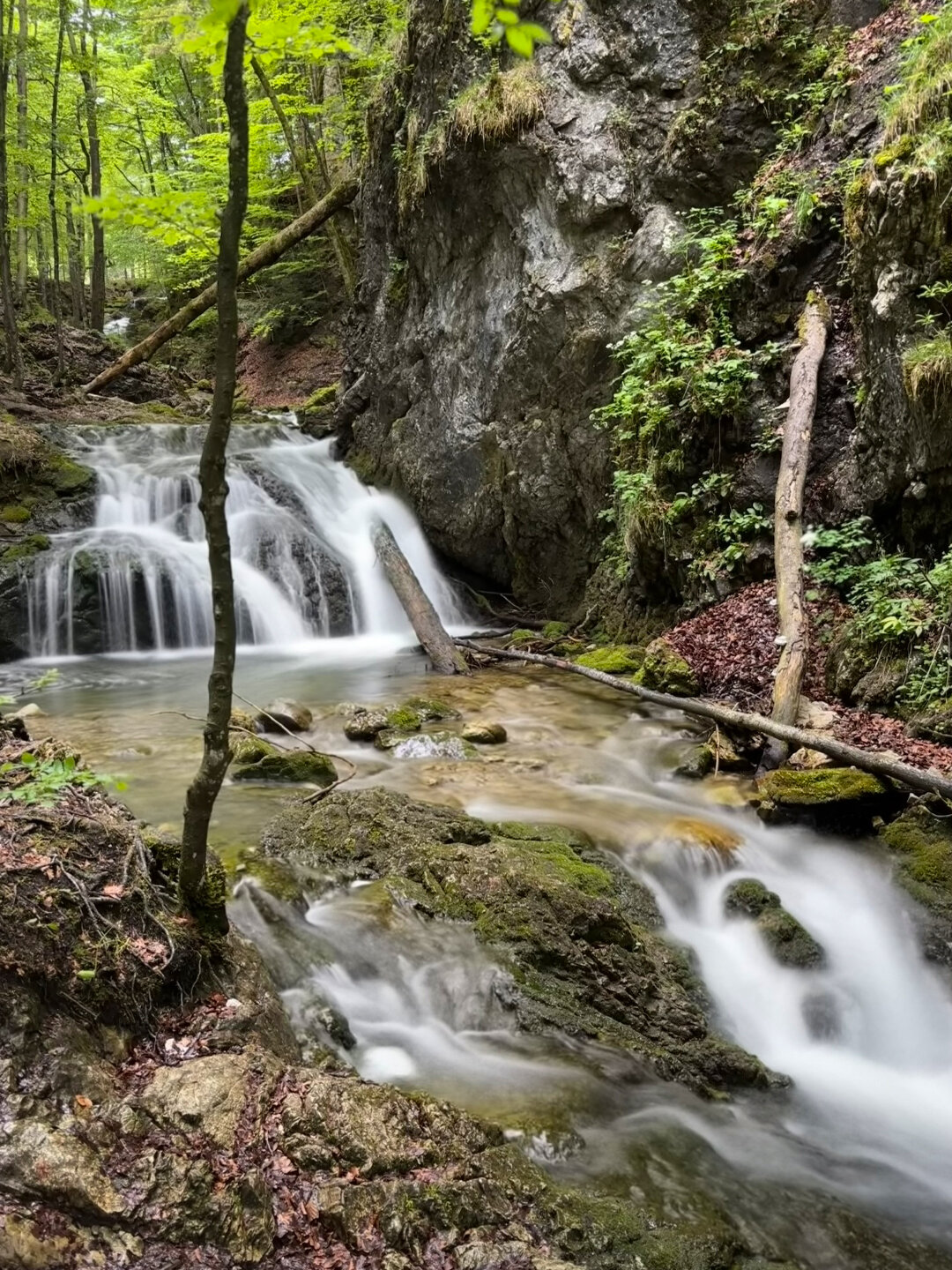 kleine Wasserfälle an den Josefsthaler Wasserfällen