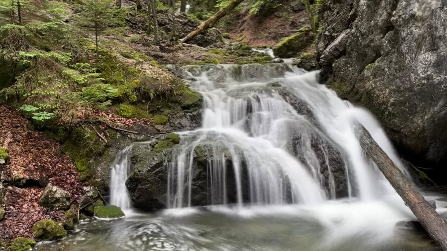 eine weitere Stufe an den Josefsthaler Wasserfällen