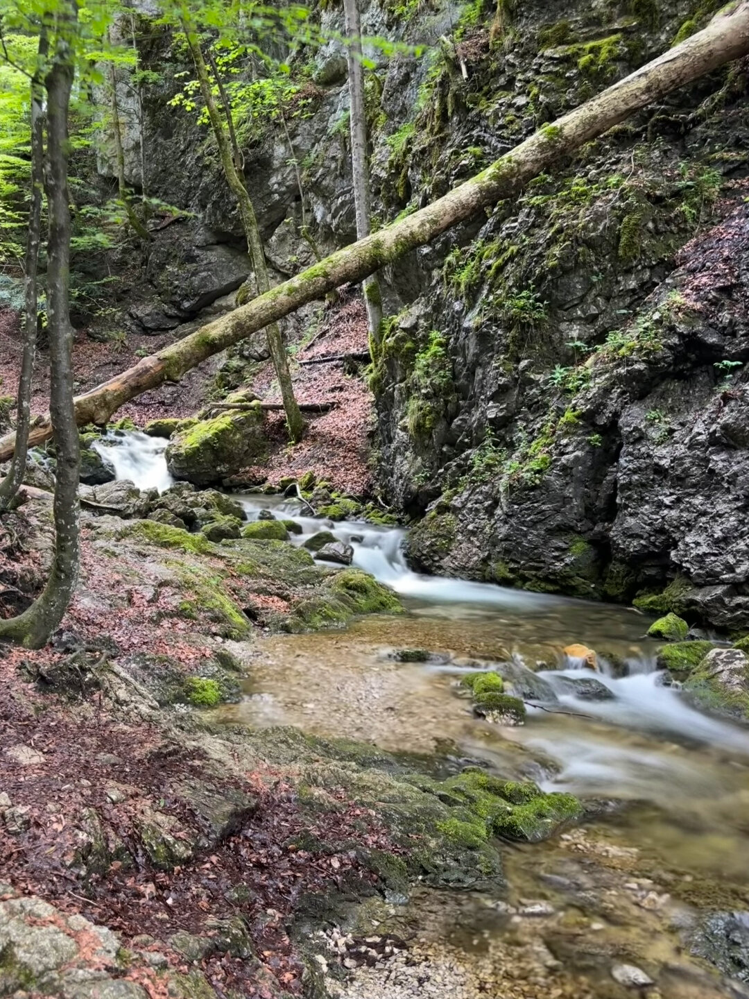flacher Bachlauf an den Josefsthaler Wasserfällen