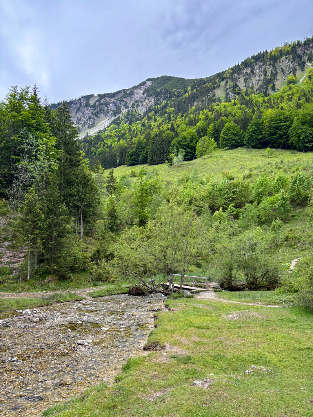 Bachlauf an der Stockeralm