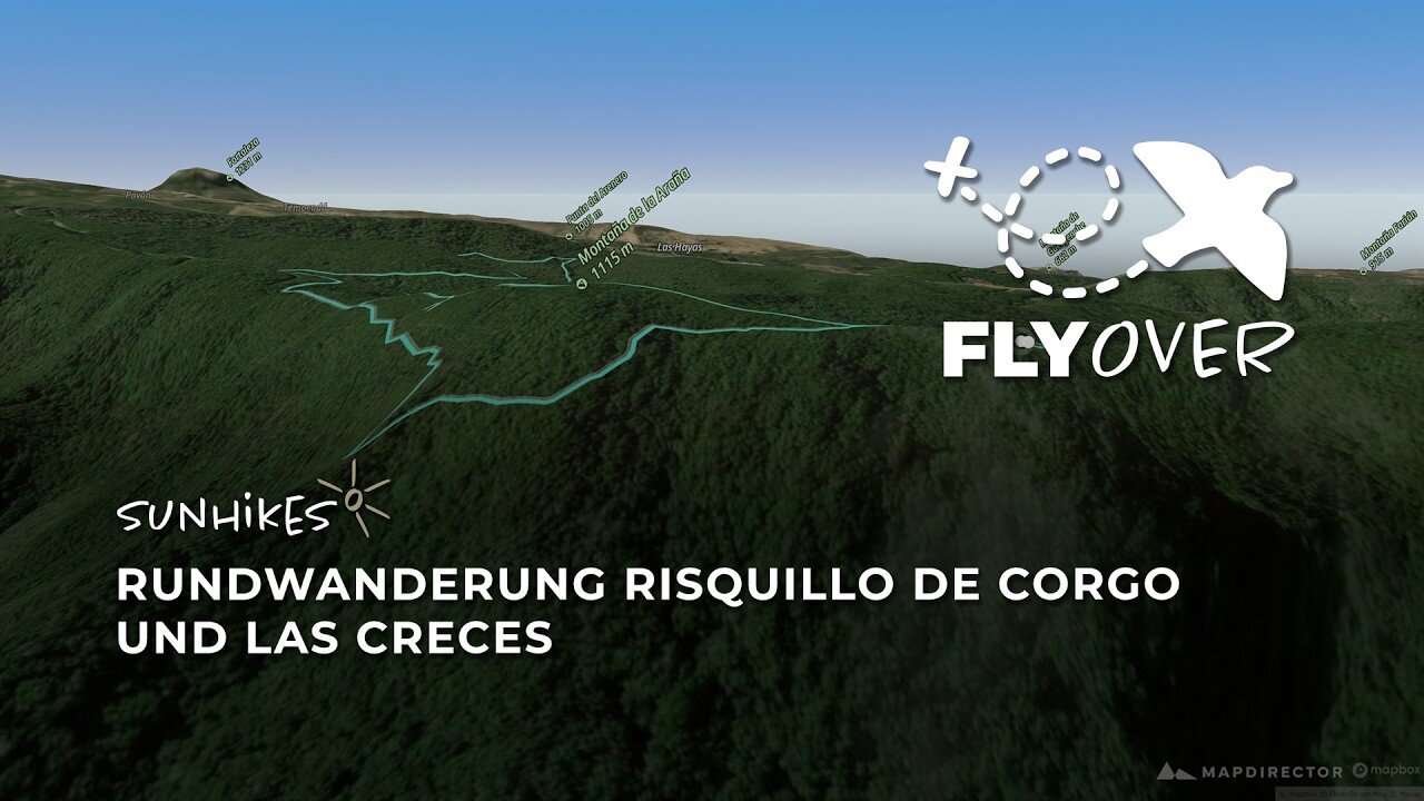 Zauberhafter Nebelwald: Die Rundroute Risquillo de Corgo & Las Creces im 3D-Flyover