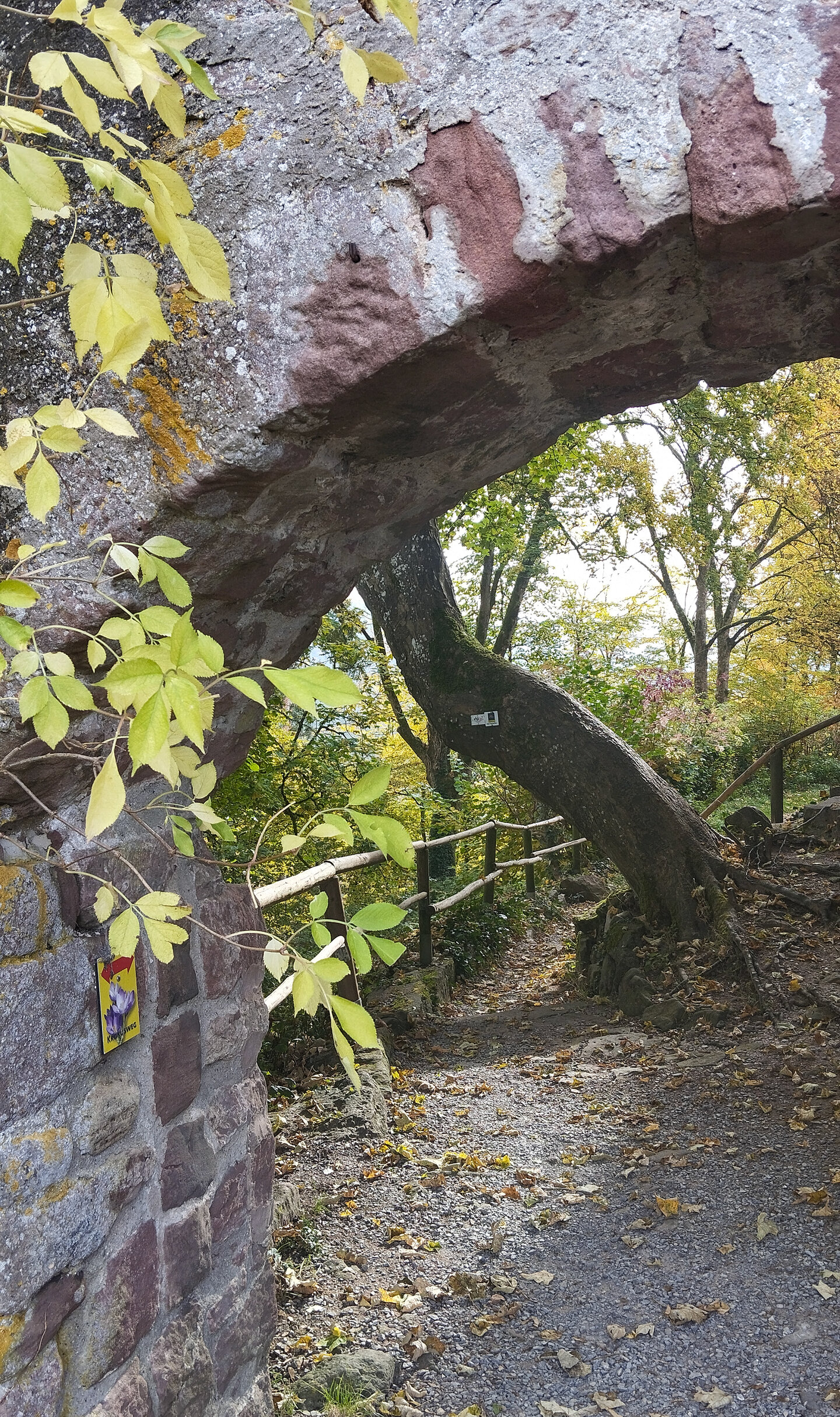 Genießerpfad Der Teinacher