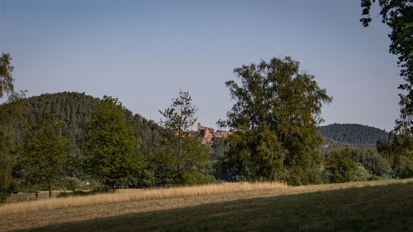 Von der Wegkreuzung Eilöchel aus ist die Dahner Burgengruppe gut sichtbar.