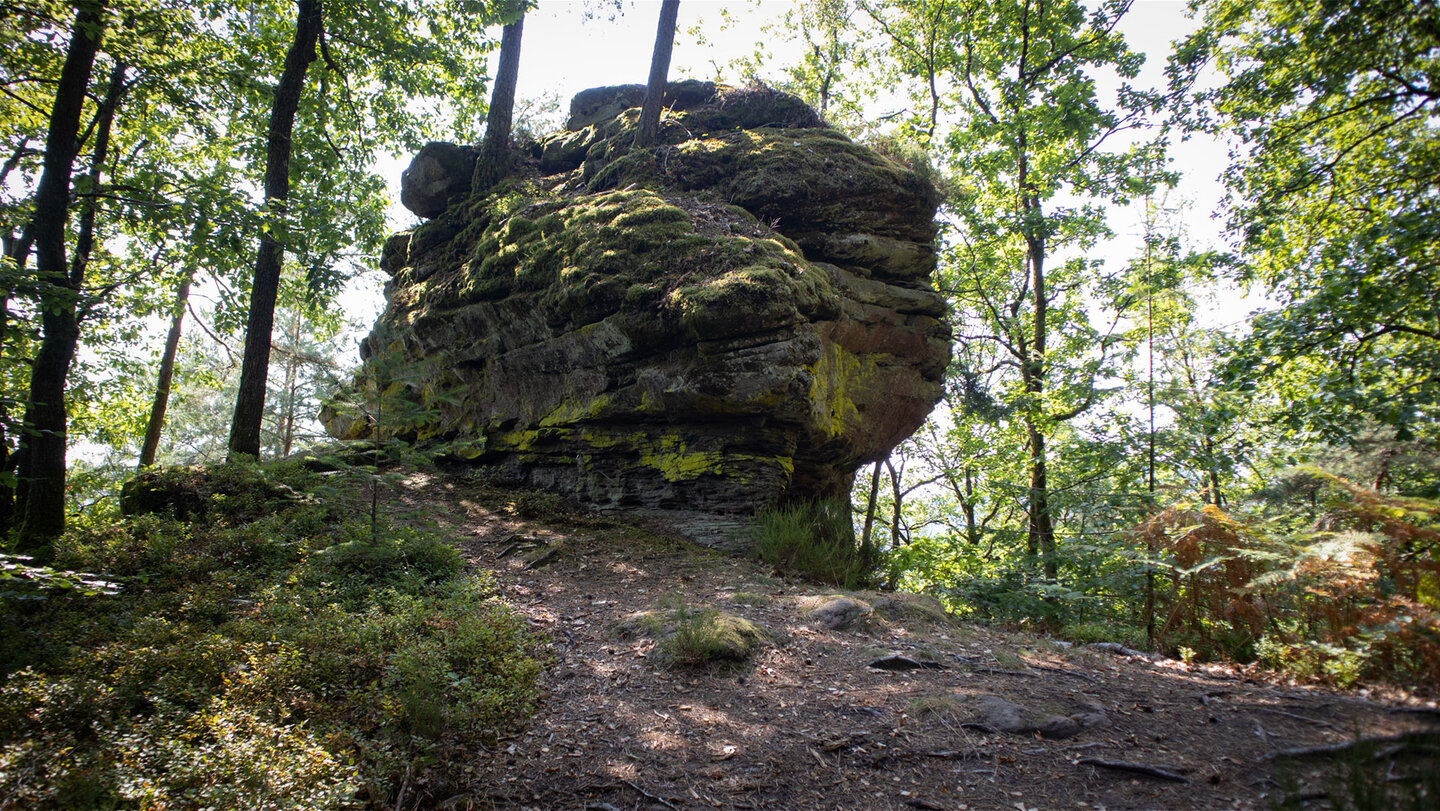 Nur wenige Meter von der großen Dickenbergwand entfernt ragt das Dickenbergtürmchen auf.
