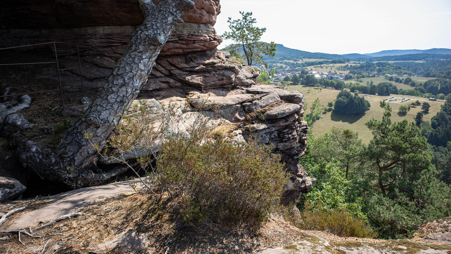 Vom Sprinzel aus bietet sich ein weiter Blick auf Busenberg.