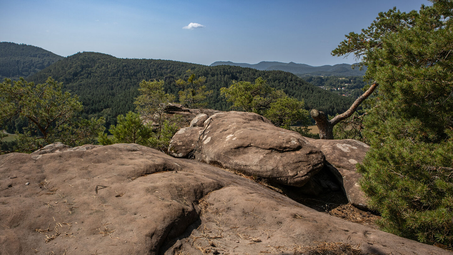 Von der Felskanzel am Sprinzel bietet sich ein weiter Ausblick über den Pfälzerwald.