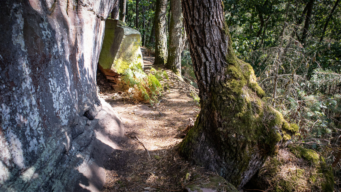Der Wanderpfad verläuft am Fuß des Sprinzelfelsen entlang.