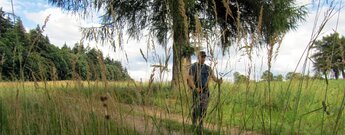 P7 Premiumwanderweg Söder Wald