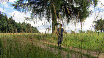 P7 Premiumwanderweg Söder Wald