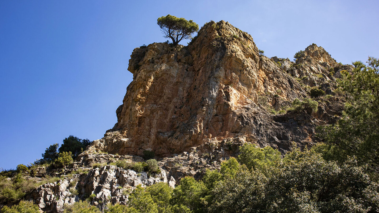 Felsen im Barranco del Pito