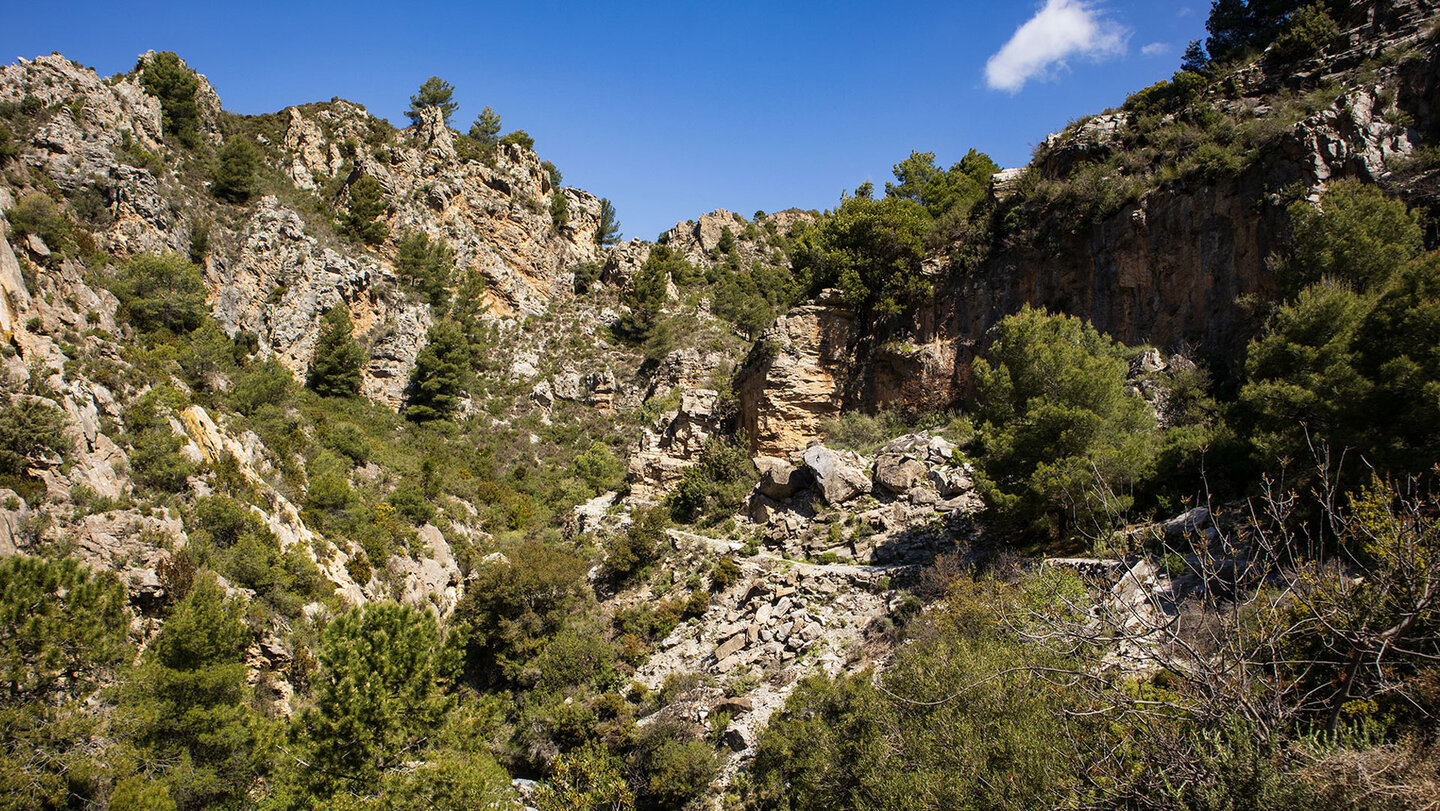 Wanderweg im Barranco del Pito