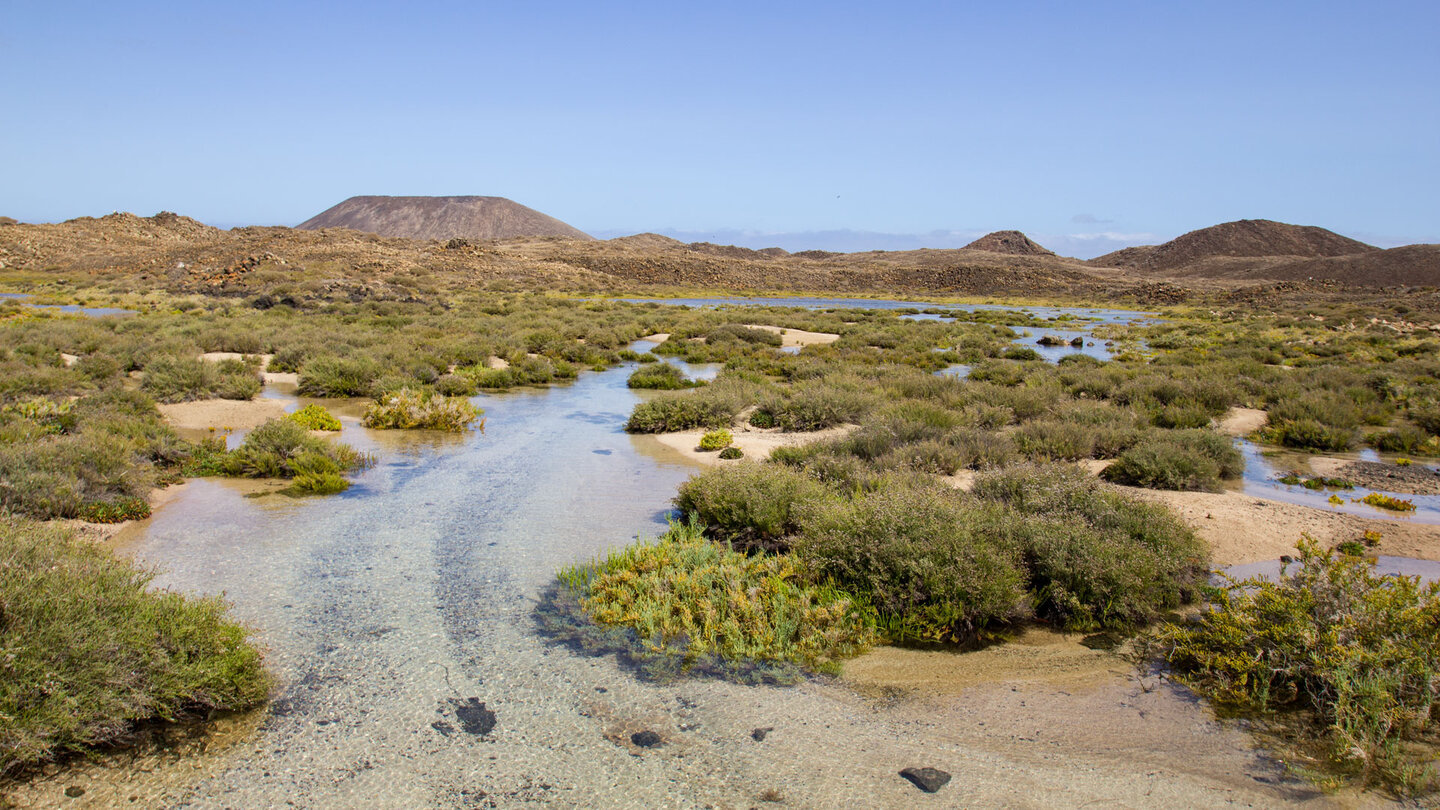 Schwemmwasserbereich der Salzwiesen auf Los Lobos