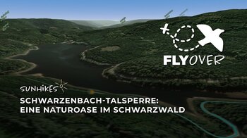 Schwarzenbach-Talsperre: Eine Naturoase im Schwarzwald – Flyover