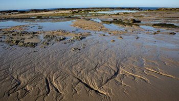 Gesteinsformationen an der Isleta Grande