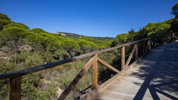 Holzstege am via del Estrecho-Wanderweg