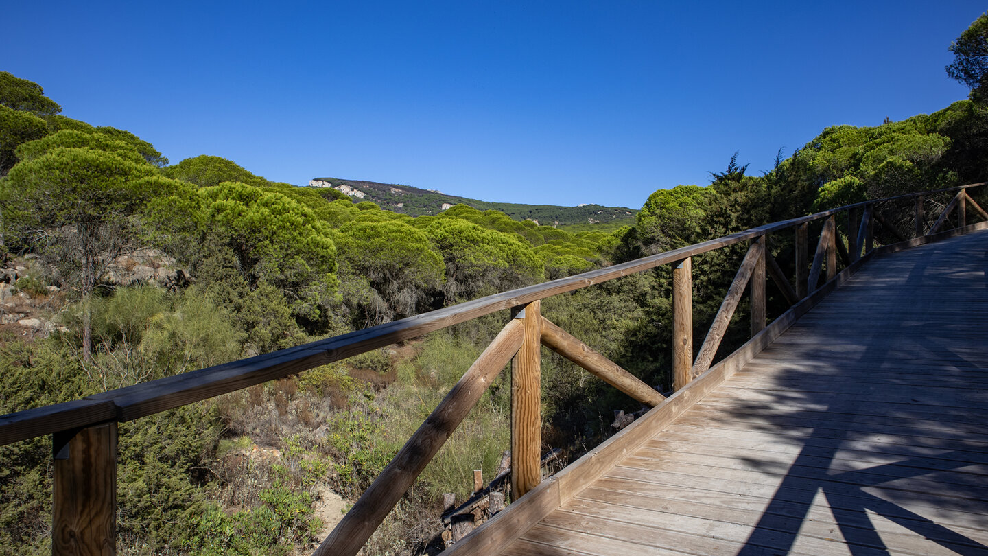Holzstege am via del Estrecho-Wanderweg