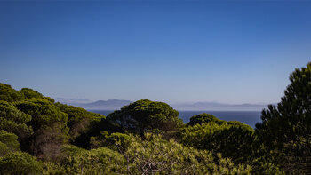 afrikanische Küste von der Vereda de la Regina