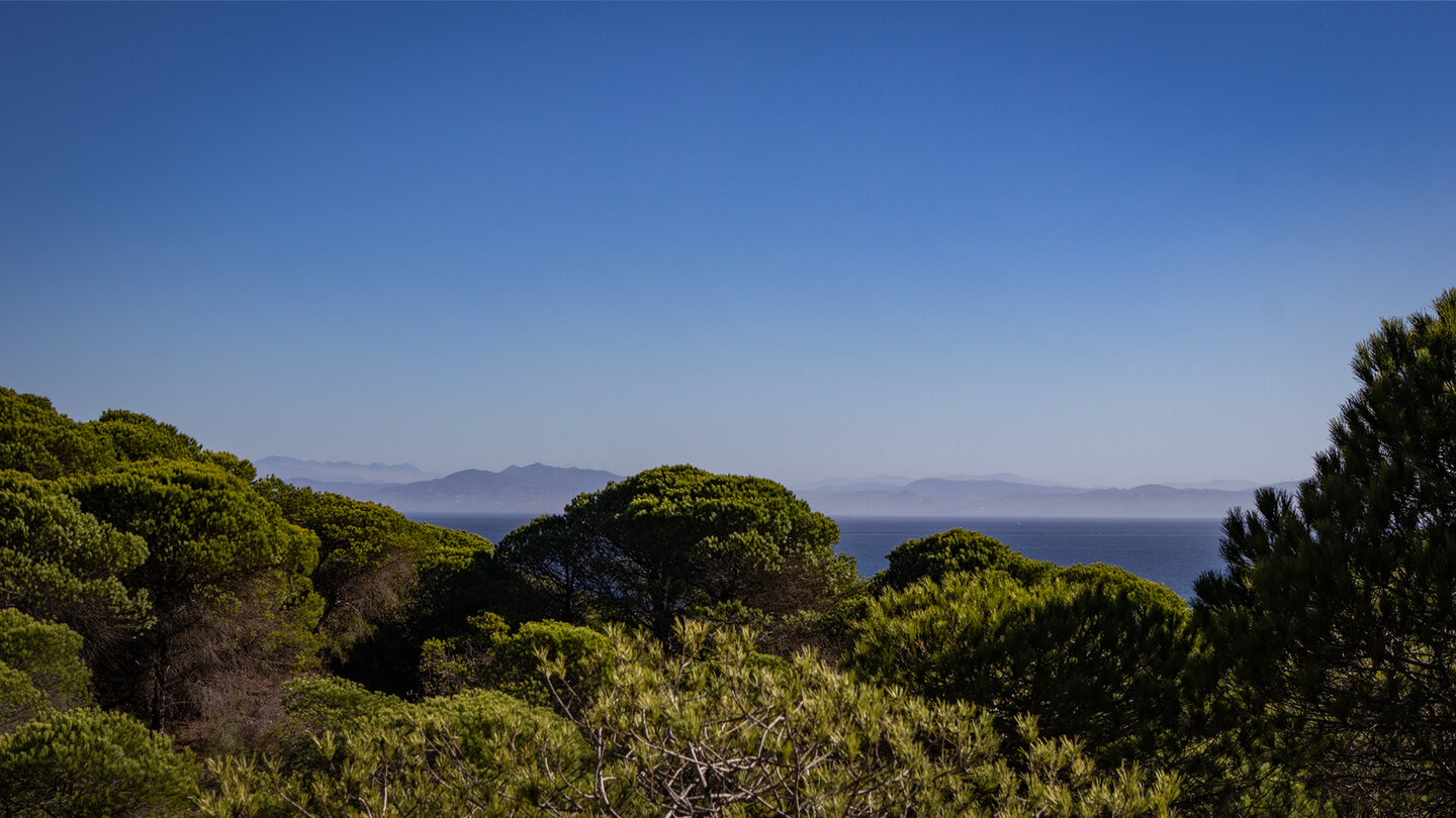 afrikanische Küste von der Vereda de la Regina